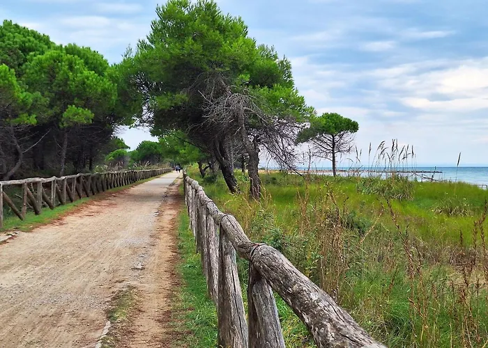 Comfortable Apartment Close To Bibione Beach - Beahost